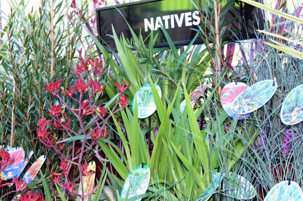 Greenlife Garden Supply - Greenlife Garden Supply Biddeford Growrite